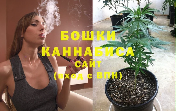 бутират Белокуриха